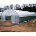 Plastic film of agriculture film for greenhouse